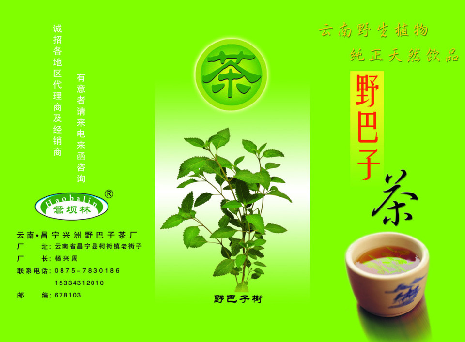 茶叶宣传单PSD模板下载指南 让您的茶叶品牌脱颖而出