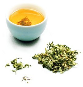 一叶知春 艾草茶的清香与养生之道